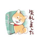 柴わんこの敬語（個別スタンプ：9）