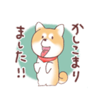 柴わんこの敬語（個別スタンプ：12）