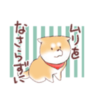 柴わんこの敬語（個別スタンプ：35）