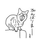 猫カフェにあにゃあ手書き猫スタンプ（個別スタンプ：4）