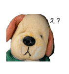 ちぇーのにちじょう1（個別スタンプ：6）