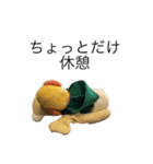ちぇーのにちじょう1（個別スタンプ：16）