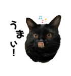 みのらむ（個別スタンプ：3）