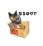 みのらむ（個別スタンプ：11）