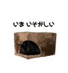 みのらむ（個別スタンプ：15）