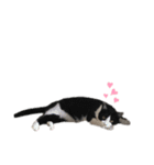 みのらむ（個別スタンプ：36）