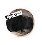 むーさんの日常③（個別スタンプ：1）