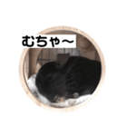 むーさんの日常③（個別スタンプ：3）