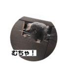 むーさんの日常③（個別スタンプ：6）