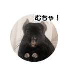 むーさんの日常③（個別スタンプ：8）
