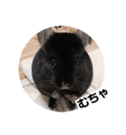 むーさんの日常③（個別スタンプ：10）