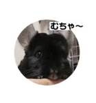 むーさんの日常③（個別スタンプ：11）