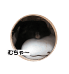 むーさんの日常③（個別スタンプ：13）