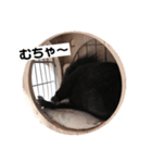 むーさんの日常③（個別スタンプ：16）