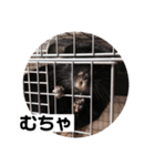 むーさんの日常③（個別スタンプ：18）