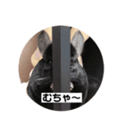 むーさんの日常③（個別スタンプ：19）