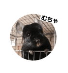 むーさんの日常③（個別スタンプ：22）
