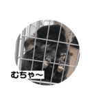 むーさんの日常③（個別スタンプ：25）