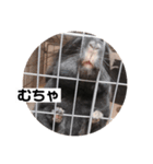 むーさんの日常③（個別スタンプ：27）