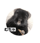 むーさんの日常③（個別スタンプ：28）