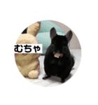 むーさんの日常③（個別スタンプ：32）