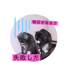ガッシーねこーずの日常2022年②（個別スタンプ：19）