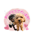 司＆将太朗と忠太郎♡（個別スタンプ：1）