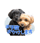 司＆将太朗と忠太郎♡（個別スタンプ：3）
