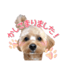 司＆将太朗と忠太郎♡（個別スタンプ：4）