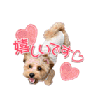 司＆将太朗と忠太郎♡（個別スタンプ：7）