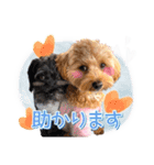 司＆将太朗と忠太郎♡（個別スタンプ：8）
