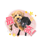司＆将太朗と忠太郎♡（個別スタンプ：11）