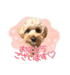 司＆将太朗と忠太郎♡（個別スタンプ：13）
