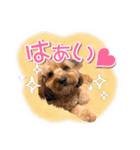 司＆将太朗と忠太郎♡（個別スタンプ：21）