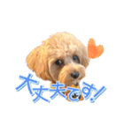 司＆将太朗と忠太郎♡（個別スタンプ：24）