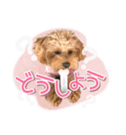 司＆将太朗と忠太郎♡（個別スタンプ：28）