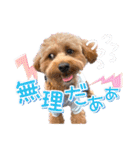 司＆将太朗と忠太郎♡（個別スタンプ：30）