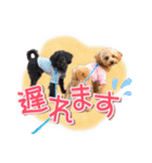 司＆将太朗と忠太郎♡（個別スタンプ：34）