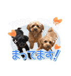 司＆将太朗と忠太郎♡（個別スタンプ：36）