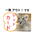 たけしのスタンプ  その31（個別スタンプ：1）