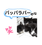 たけしのスタンプ  その31（個別スタンプ：3）