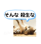 たけしのスタンプ  その31（個別スタンプ：6）