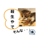 たけしのスタンプ  その31（個別スタンプ：7）