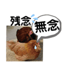 たけしのスタンプ  その31（個別スタンプ：8）