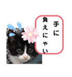 たけしのスタンプ  その31（個別スタンプ：9）