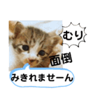 たけしのスタンプ  その31（個別スタンプ：10）