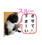たけしのスタンプ  その31（個別スタンプ：12）