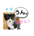 たけしのスタンプ  その31（個別スタンプ：14）