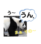 たけしのスタンプ  その31（個別スタンプ：15）