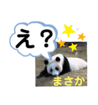 たけしのスタンプ  その31（個別スタンプ：16）